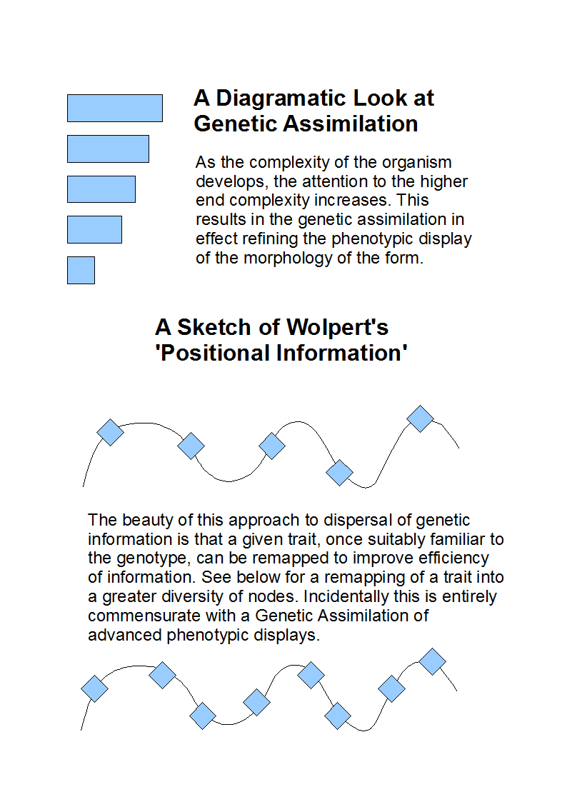 Genetics sketches from the Symposiums